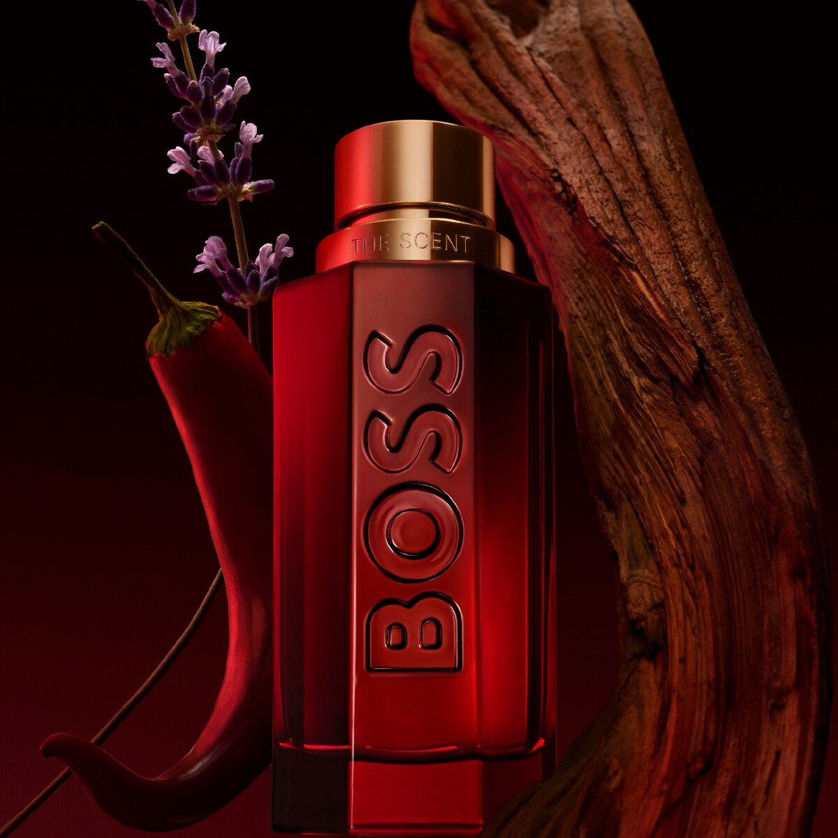 HUGO BOSS THE SCENT ELIXIR FOR HIM EAU DE PARFUM